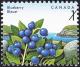 Colnect-748-389-Blueberry.jpg