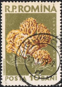 Posta_Romana_-_1958_-_mushroom_10B.jpg