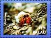 Colnect-4856-898-Hermit-crab.jpg