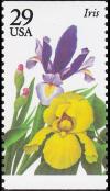 Colnect-5088-427-Iris.jpg