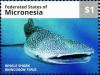 Colnect-5727-268-Whale-shark.jpg