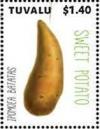 Colnect-6344-808-Sweet-Potato.jpg