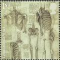 Colnect-5588-818-The-Skeleton.jpg