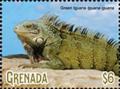 Colnect-5727-078-Green-Iguana.jpg