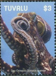 Colnect-6440-978-Day-Octopus.jpg