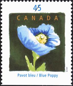 Colnect-588-598-Blue-Poppy.jpg