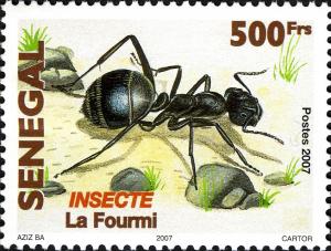 Colnect-1618-999-Ant.jpg