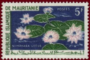 Colnect-1730-768-Water-Lilies.jpg