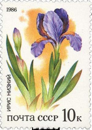 Colnect-3988-979-Iris.jpg