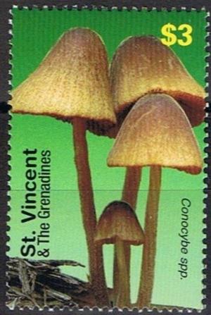 Colnect-4481-538-Conocybe-spp.jpg