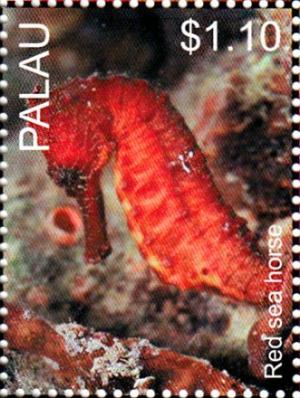 Colnect-4910-088-Red-Seahorse.jpg