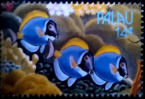 Colnect-5880-078-Surgeonfish.jpg