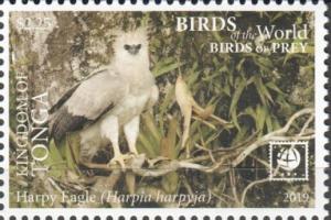 Colnect-6311-958-Harpy-Eagle.jpg