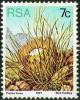 Colnect-3738-008-Protea-lorea.jpg