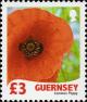 Colnect-4151-888-Common-Poppy.jpg