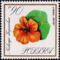 Colnect-4627-490-Nasturtium.jpg