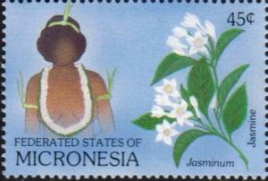 Colnect-2951-909-Jasmine.jpg