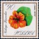 Colnect-4627-490-Nasturtium.jpg