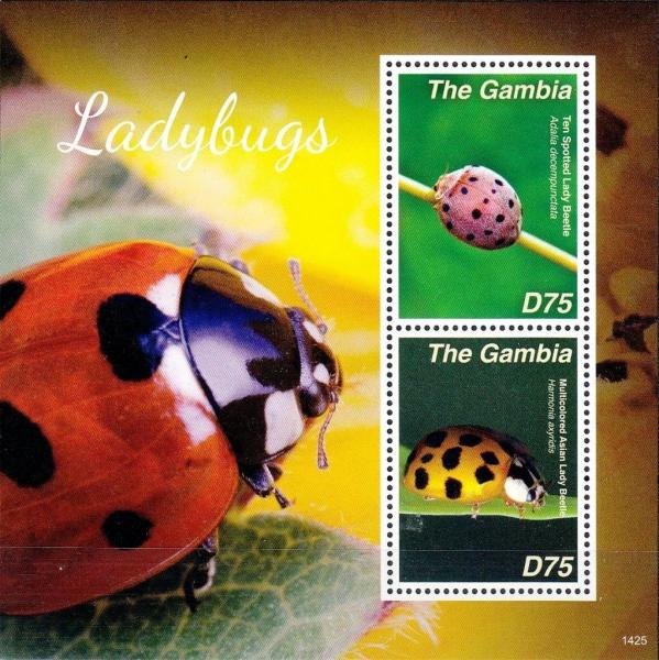 Colnect-3611-910-Ladybugs.jpg