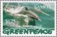 Colnect-3623-919-Dolphins.jpg