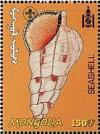 Colnect-1292-092-Sea-shell.jpg