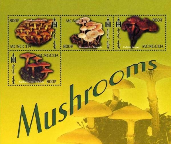 Colnect-1290-192-Mushrooms.jpg