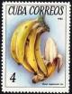 Colnect-1621-923-Bananas.jpg