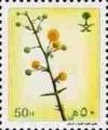 Colnect-3576-593-Acacia-sp.jpg