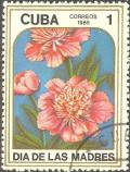 Colnect-681-937-Paeonia.jpg