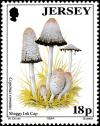 Colnect-6126-994-Mushrooms.jpg