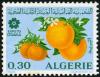 Colnect-722-946-Oranges.jpg