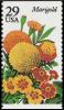 Colnect-4229-945-Marigold.jpg