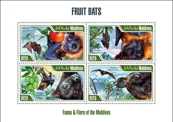 Colnect-4291-094-Fruit-bats.jpg