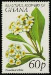 Colnect-1911-995-Frangipani.jpg