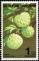 Colnect-2308-958-Sweetsop.jpg