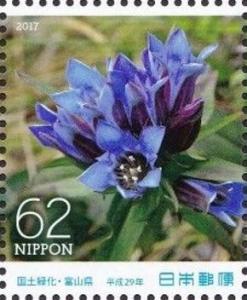 Colnect-4118-962-Gentian.jpg