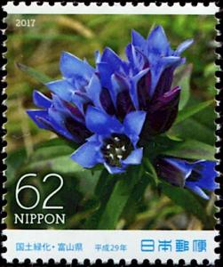 Colnect-5461-971-Gentian.jpg