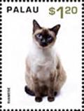 Colnect-4909-981-Siamese.jpg