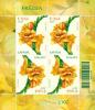 Colnect-3904-984-Freesia.jpg