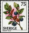 Colnect-4339-199-Bilberries.jpg