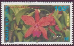 Colnect-900-199-Cattleya.jpg