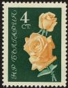 Colnect-4413-029-Yellow-roses.jpg