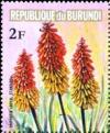 Colnect-4740-099-Kniphofia-sp.jpg