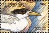 Colnect-5250-469-Crested-tern.jpg