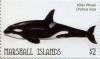 Colnect-6220-619-Killer-Whale.jpg