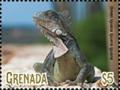 Colnect-5727-079-Green-Iguana.jpg