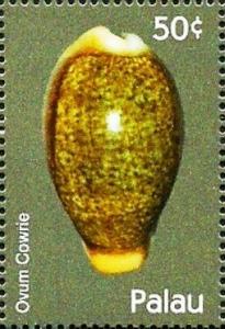 Colnect-5862-029-Ovum-cowrie.jpg