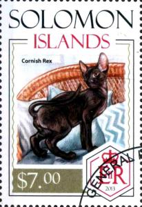 Colnect-4025-669-Cornish-Rex.jpg