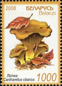 Colnect-749-489-Chanterelle.jpg