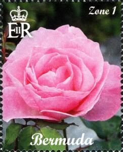 Colnect-2789-302-Rose.jpg